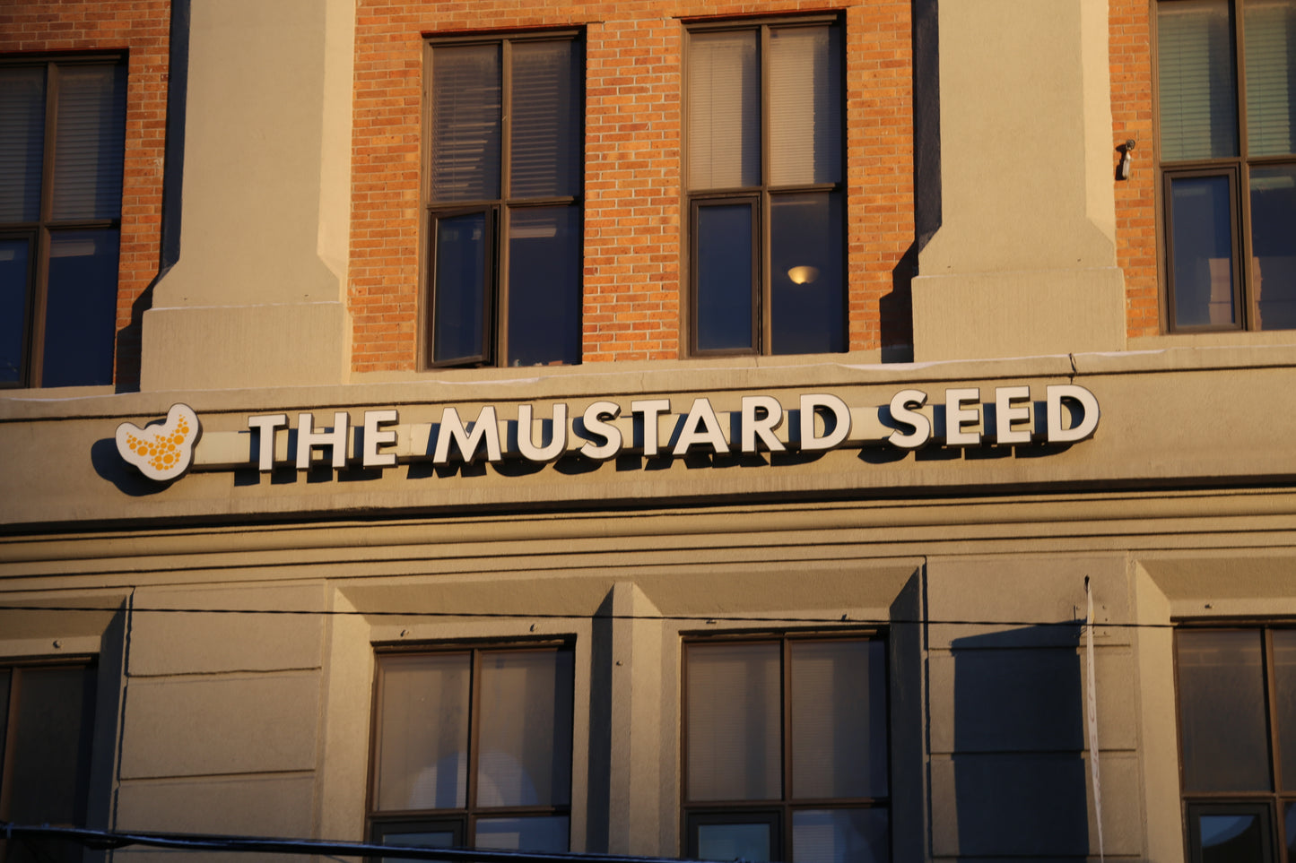 Mustard Seed Trucker Hat Collaboration
